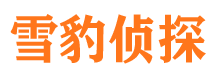 安多市私人侦探